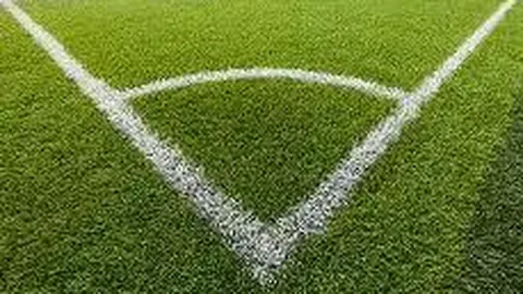 尼克斯对战猛龙：历史交锋一边倒，专家推荐质合分析前区十码