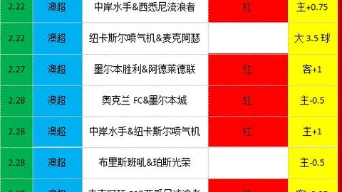 张帅澳网女单首战不敌普汀塞娃，止步第二轮